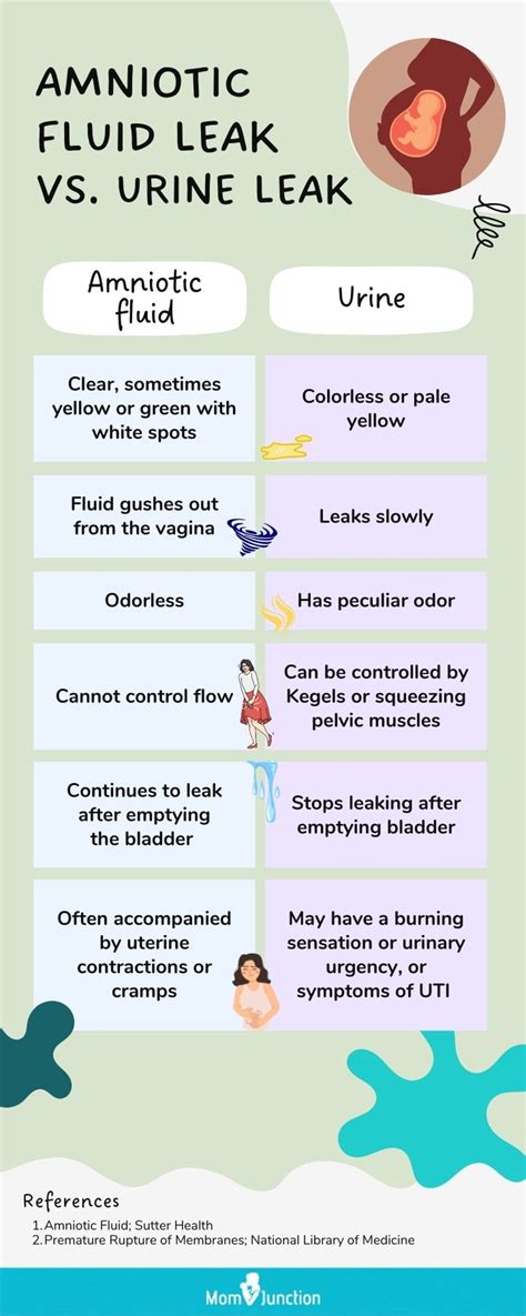 leakage of amniotic fluid|Amniotic Fluid: Color, Smell, Function & Disorders